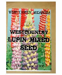 Lupinus Westcountry special mixed seed