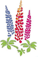 Westcountry Nurseries Lupins Logo