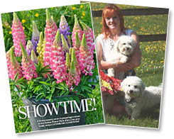 Devon Life - Westcountry Nurseries Article